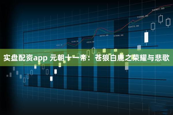 实盘配资app 元朝十一帝：苍狼白鹿之荣耀与悲歌